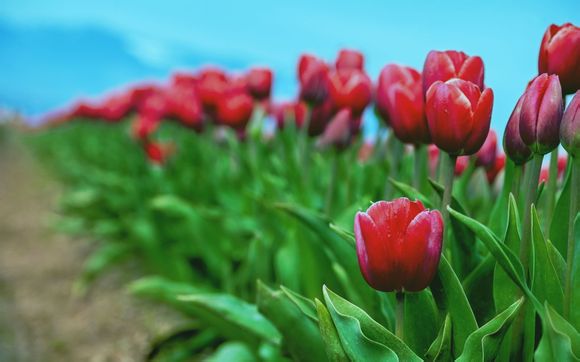 成吉思汗的传说故事简介