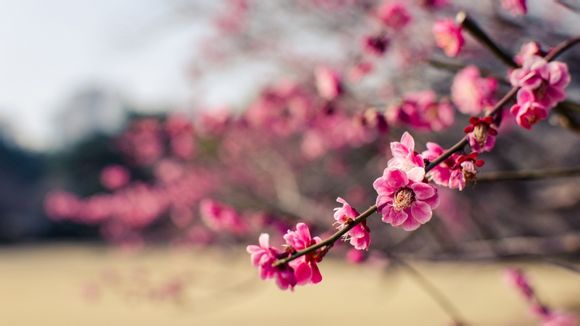 玻利维亚乌尤尼盐湖在哪里