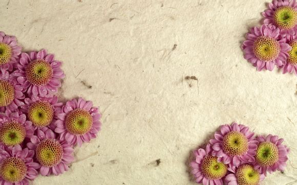赤壁之战的故事情节250字