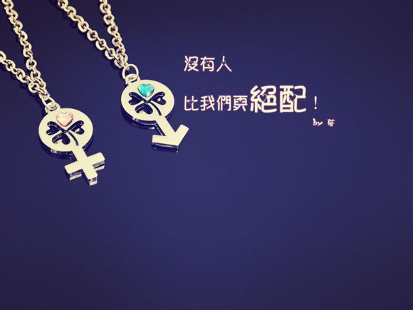 芙洛花舍代理价格表