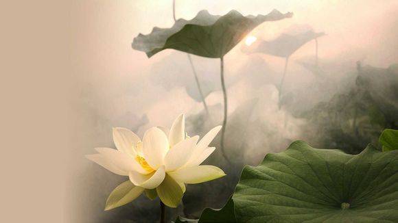 桂林市虞山公园门票