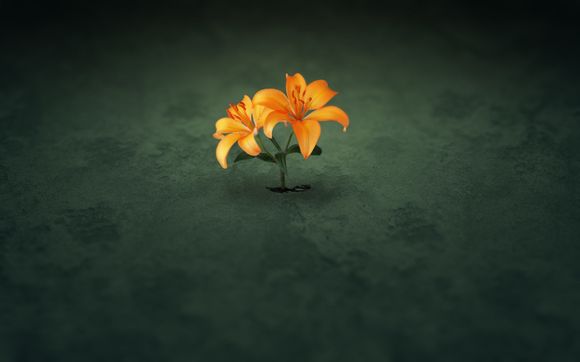 辰山植物园能带狗吗现在