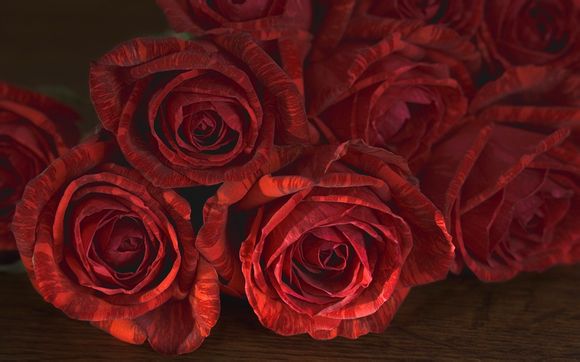 深圳龙华附近游玩的地方